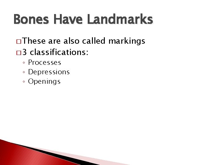 Bones Have Landmarks � These are also called markings � 3 classifications: ◦ Processes