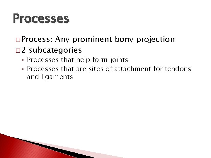 Processes � Process: Any prominent bony projection � 2 subcategories ◦ Processes that help