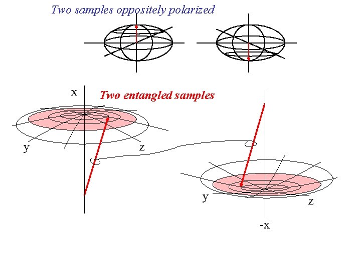 Two samples oppositely polarized x y Two entangled samples z y z -x 