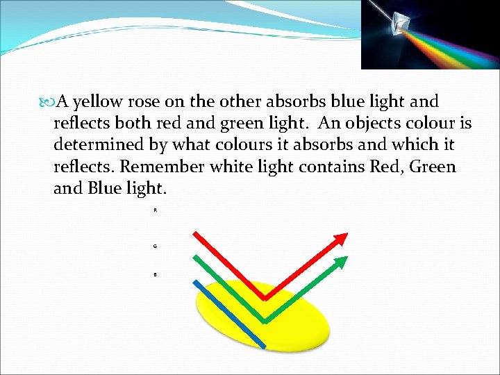  A yellow rose on the other absorbs blue light and reflects both red