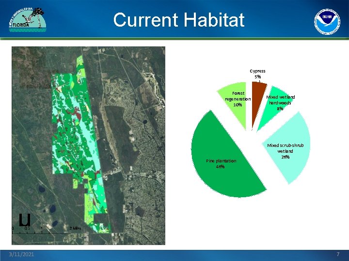 Current Habitat Cypress 5% Forest regeneration 10% Pine plantation 46% 3/11/2021 Mixed wetland hardwoods