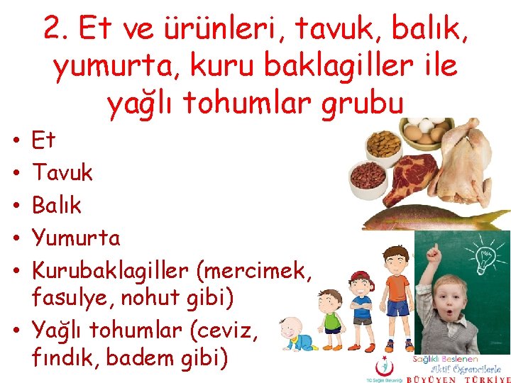 2. Et ve ürünleri, tavuk, balık, yumurta, kuru baklagiller ile yağlı tohumlar grubu Et