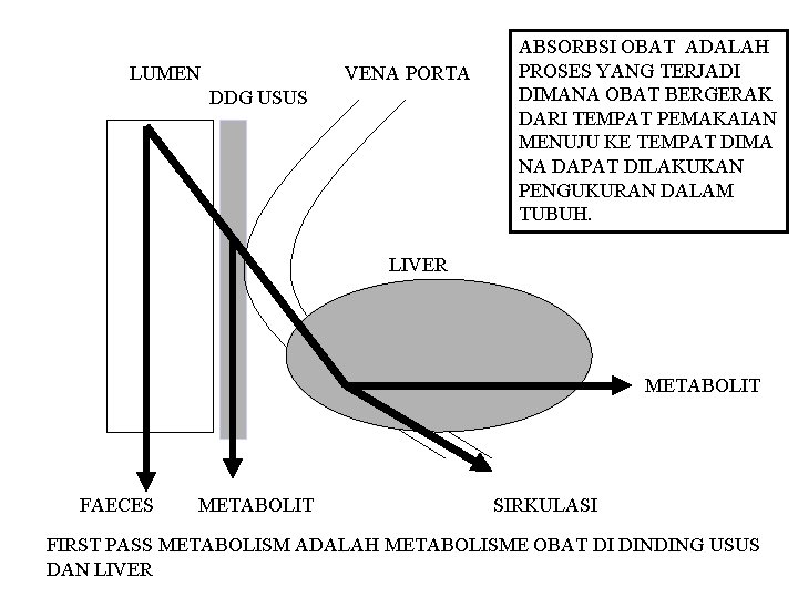 LUMEN VENA PORTA DDG USUS ABSORBSI OBAT ADALAH PROSES YANG TERJADI DIMANA OBAT BERGERAK