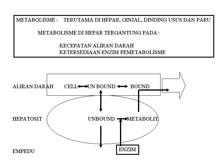 METABOLISME : TERUTAMA DI HEPAR, GINJAL, DINDING USUS DAN PARU METABOLISME DI HEPAR TERGANTUNG