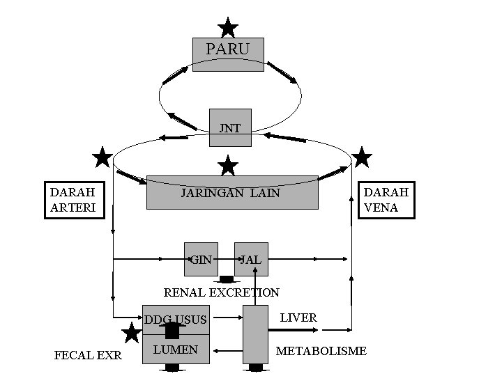 PARU JNT DARAH ARTERI DARAH VENA JARINGAN LAIN GIN JAL RENAL EXCRETION DDG USUS