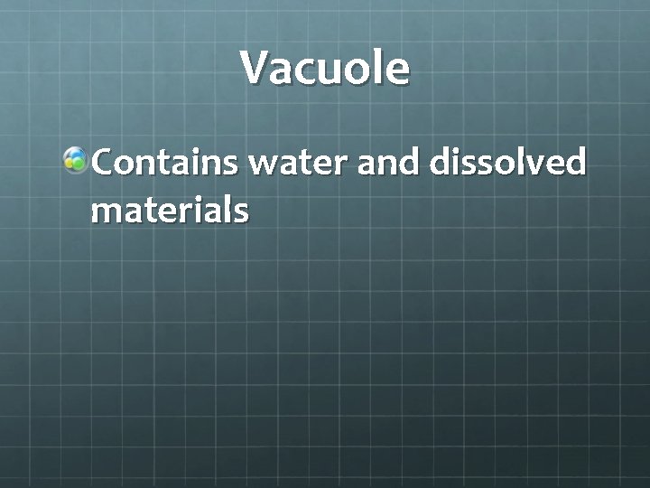 Vacuole Contains water and dissolved materials 