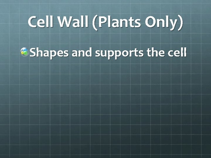 Cell Wall (Plants Only) Shapes and supports the cell 