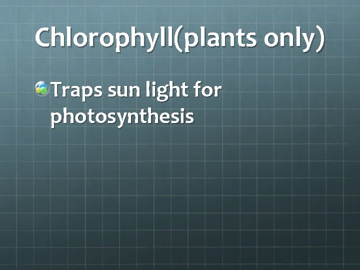 Chlorophyll(plants only) Traps sun light for photosynthesis 