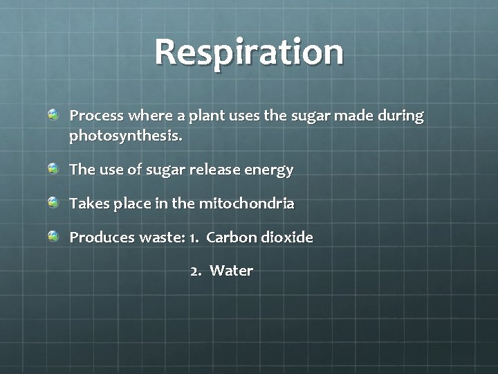 Respiration Process where a plant uses the sugar made during photosynthesis. The use of