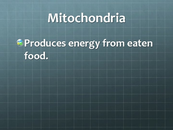 Mitochondria Produces energy from eaten food. 