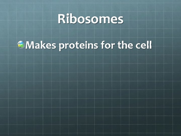 Ribosomes Makes proteins for the cell 