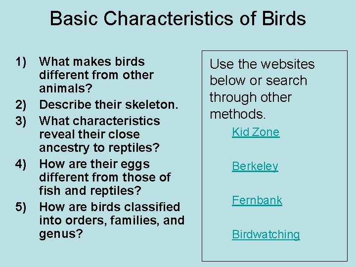 Basic Characteristics of Birds 1) What makes birds different from other animals? 2) Describe