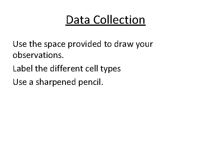Data Collection Use the space provided to draw your observations. Label the different cell