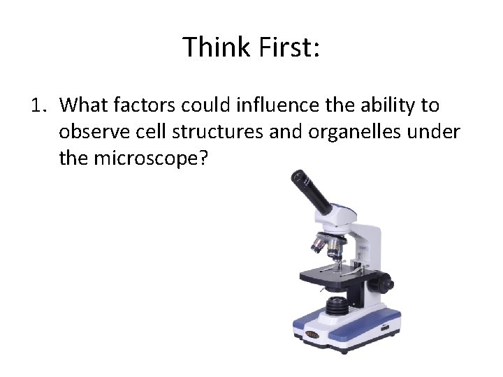 Think First: 1. What factors could influence the ability to observe cell structures and