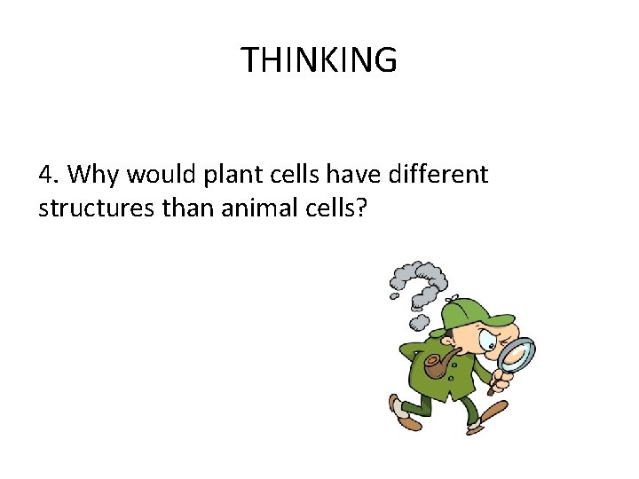 THINKING 4. Why would plant cells have different structures than animal cells? 