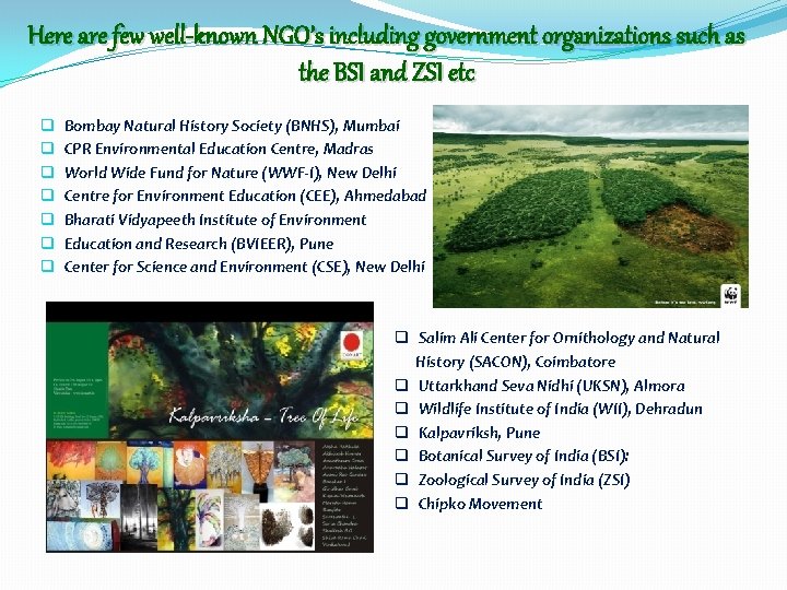 Here are few well-known NGO’s including government organizations such as the BSI and ZSI