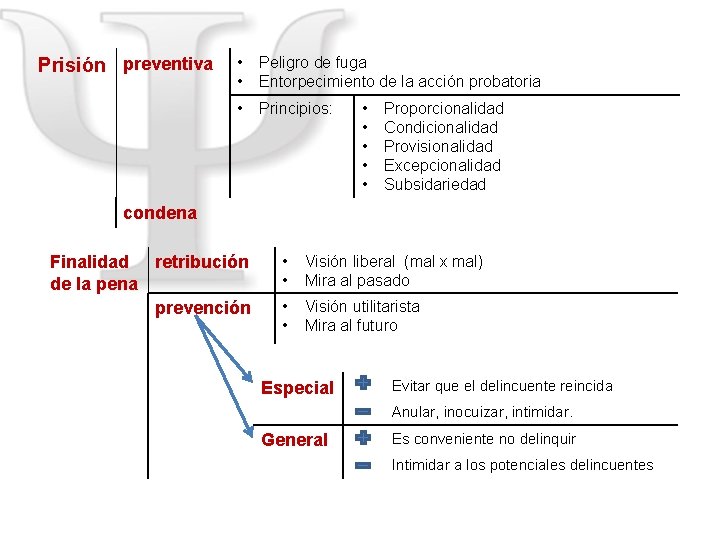 Prisión preventiva • • Peligro de fuga Entorpecimiento de la acción probatoria • Principios:
