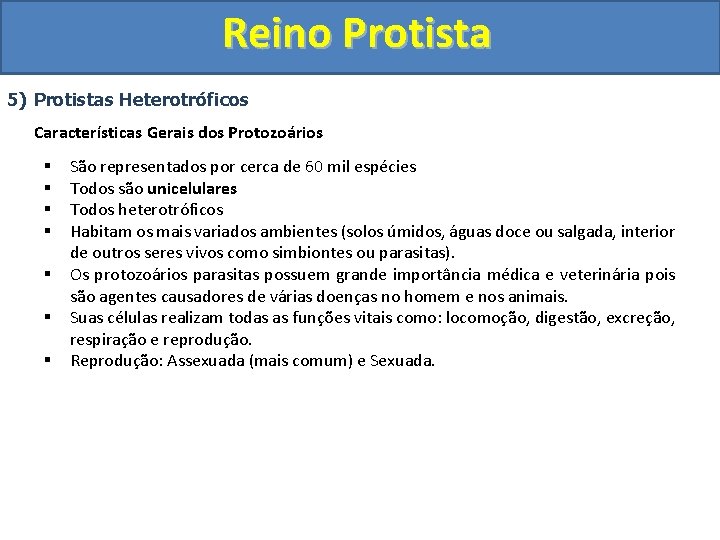 Reino Protista 5) Protistas Heterotróficos Características Gerais dos Protozoários § § § § São