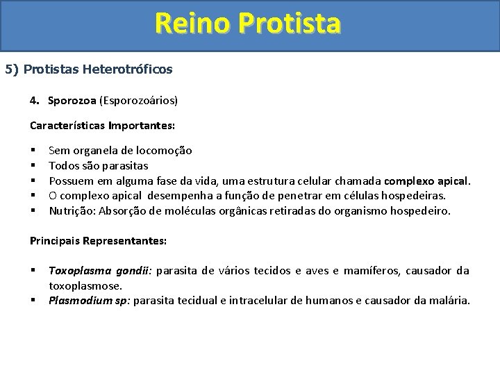 Reino Protista 5) Protistas Heterotróficos 4. Sporozoa (Esporozoários) Características Importantes: § § § Sem