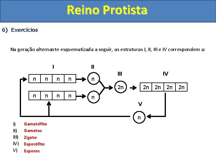 Reino Protista 6) Exercícios Na geração alternante esquematizada a seguir, as estruturas I, III
