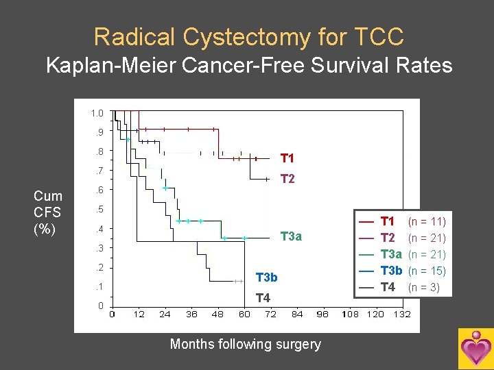 Radical Cystectomy for TCC Kaplan-Meier Cancer-Free Survival Rates 1. 0. 9. 8 T 1