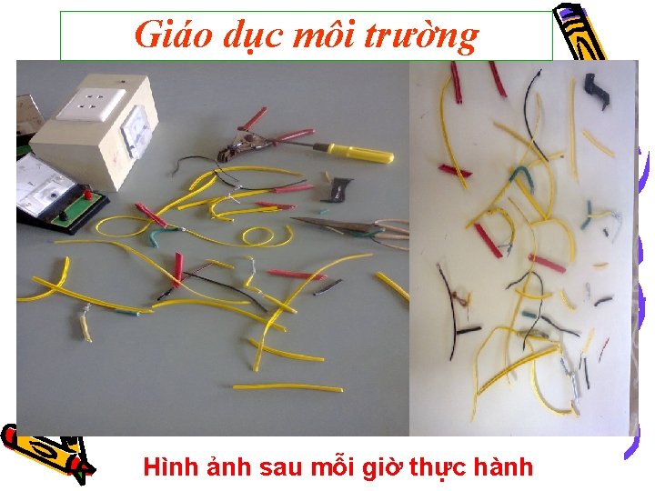 Giáo dục môi trường Hình ảnh sau mỗi giờ thực hành 