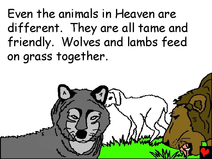 Even the animals in Heaven are different. They are all tame and friendly. Wolves