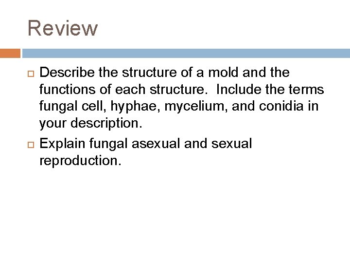 Review Describe the structure of a mold and the functions of each structure. Include