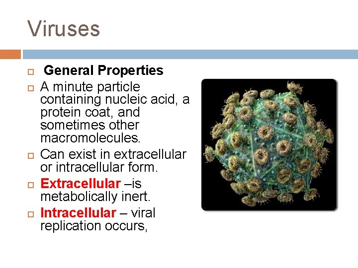 Viruses General Properties A minute particle containing nucleic acid, a protein coat, and sometimes