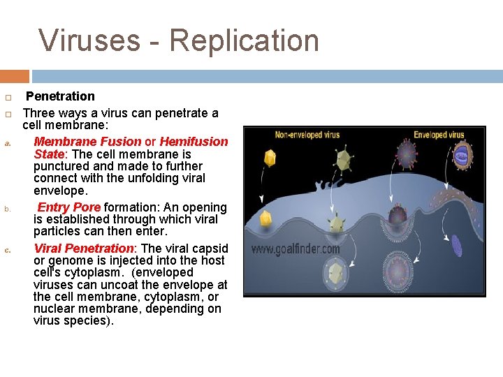 Viruses - Replication a. b. c. Penetration Three ways a virus can penetrate a