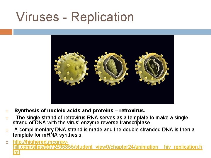 Viruses - Replication Synthesis of nucleic acids and proteins – retrovirus. The single strand