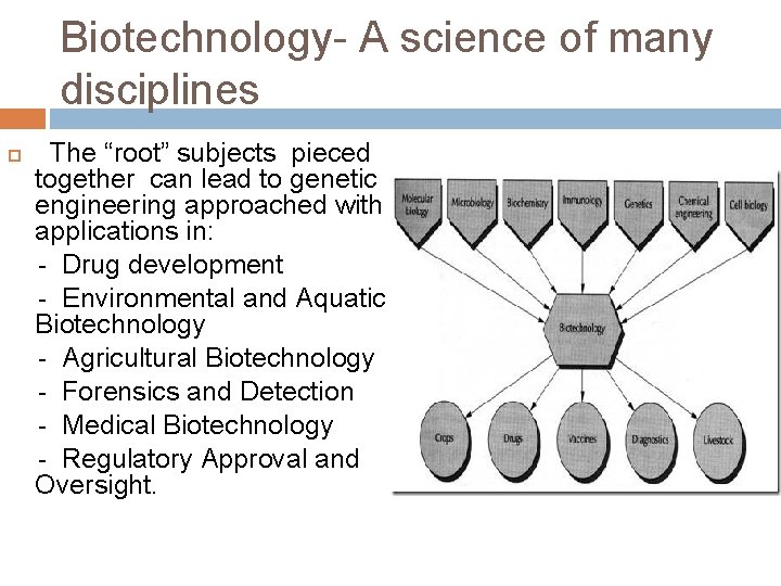 Biotechnology- A science of many disciplines The “root” subjects pieced together can lead to