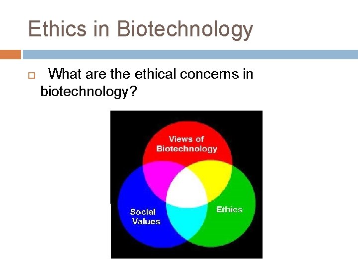 Ethics in Biotechnology What are the ethical concerns in biotechnology? 