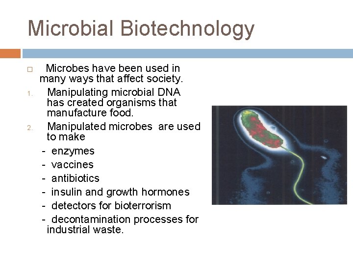 Microbial Biotechnology 1. 2. Microbes have been used in many ways that affect society.