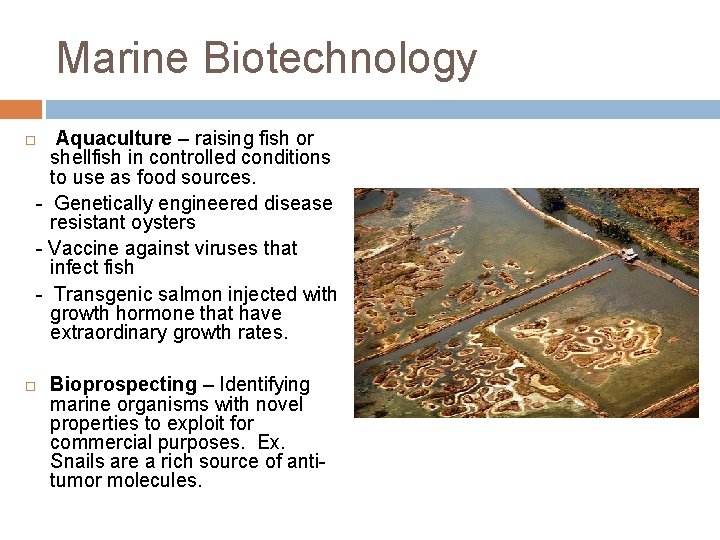 Marine Biotechnology Aquaculture – raising fish or shellfish in controlled conditions to use as