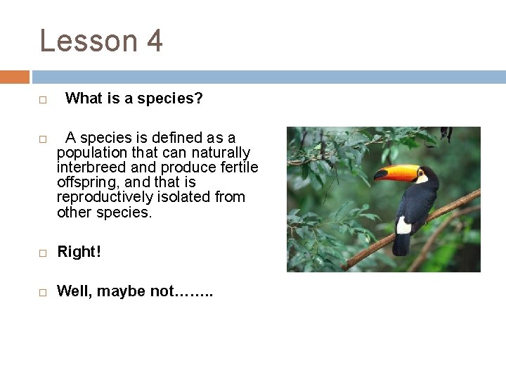 Lesson 4 What is a species? A species is defined as a population that