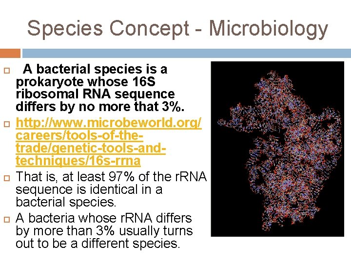 Species Concept - Microbiology A bacterial species is a prokaryote whose 16 S ribosomal
