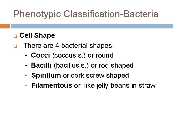 Phenotypic Classification-Bacteria Cell Shape There are 4 bacterial shapes: - Cocci (coccus s. )