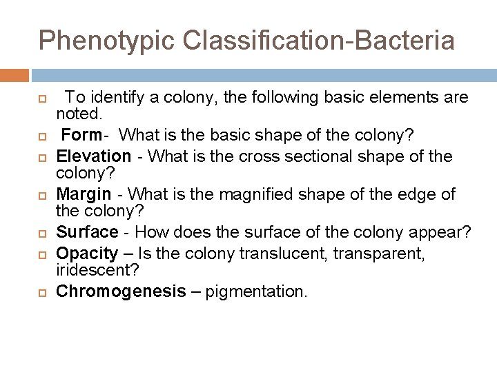 Phenotypic Classification-Bacteria To identify a colony, the following basic elements are noted. Form- What