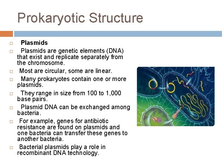 Prokaryotic Structure Plasmids are genetic elements (DNA) that exist and replicate separately from the