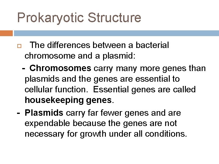 Prokaryotic Structure The differences between a bacterial chromosome and a plasmid: - Chromosomes carry