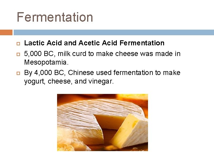 Fermentation Lactic Acid and Acetic Acid Fermentation 5, 000 BC, milk curd to make