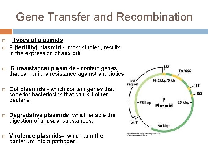 Gene Transfer and Recombination Types of plasmids F (fertility) plasmid - most studied, results