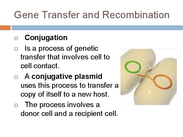 Gene Transfer and Recombination Conjugation Is a process of genetic transfer that involves cell