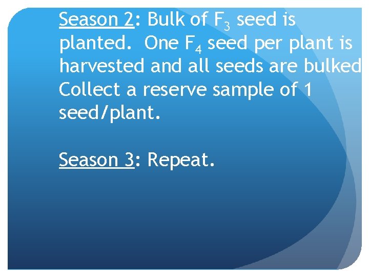 Season 2: Bulk of F 3 seed is planted. One F 4 seed per