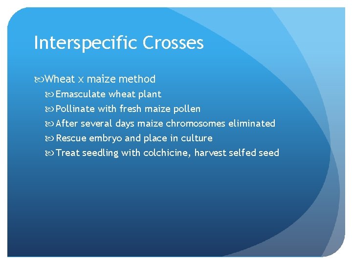 Interspecific Crosses Wheat x maize method Emasculate wheat plant Pollinate with fresh maize pollen