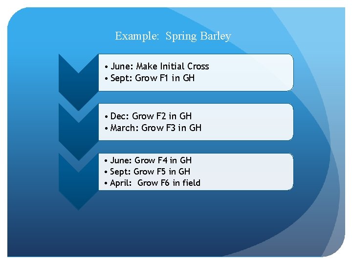 Example: Spring Barley • June: Make Initial Cross • Sept: Grow F 1 in