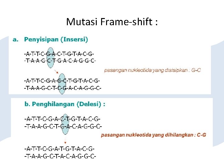 Mutasi Frame-shift : 