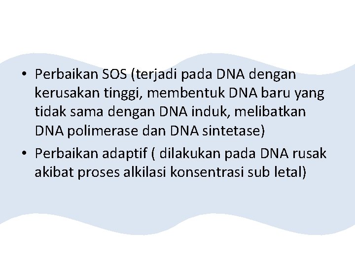  • Perbaikan SOS (terjadi pada DNA dengan kerusakan tinggi, membentuk DNA baru yang