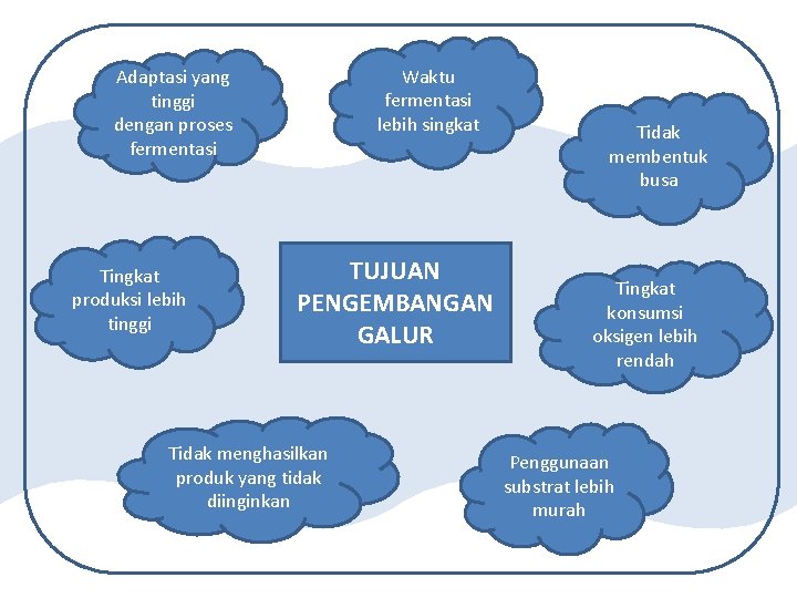 Waktu fermentasi lebih singkat Adaptasi yang tinggi dengan proses fermentasi Tingkat produksi lebih tinggi